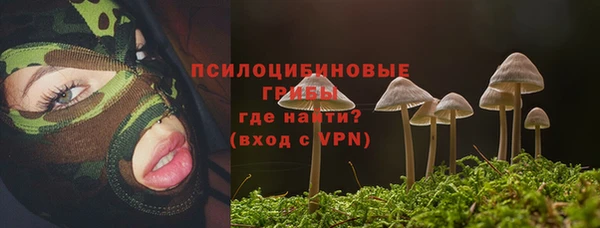 apvp Абинск