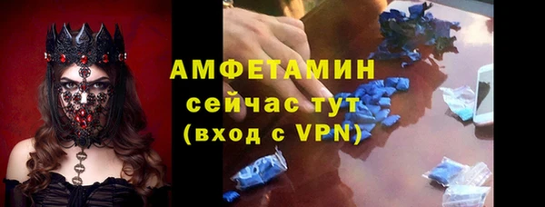 стаф Новозыбков