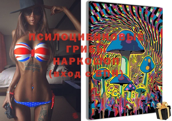 стаф Новозыбков