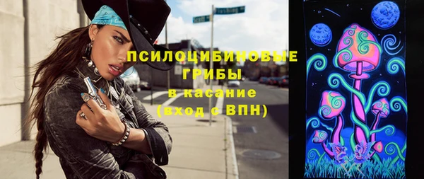 стаф Новозыбков