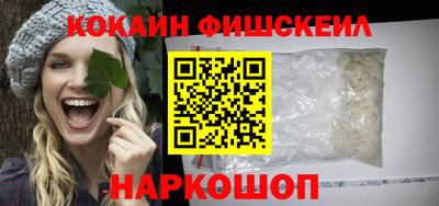 a pvp Новозыбков