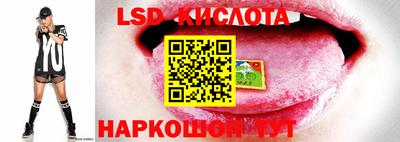 a pvp Новозыбков