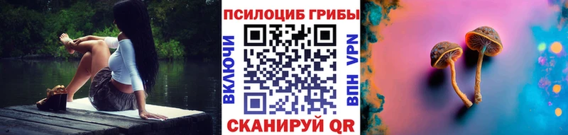Галлюциногенные грибы Cubensis Чебаркуль