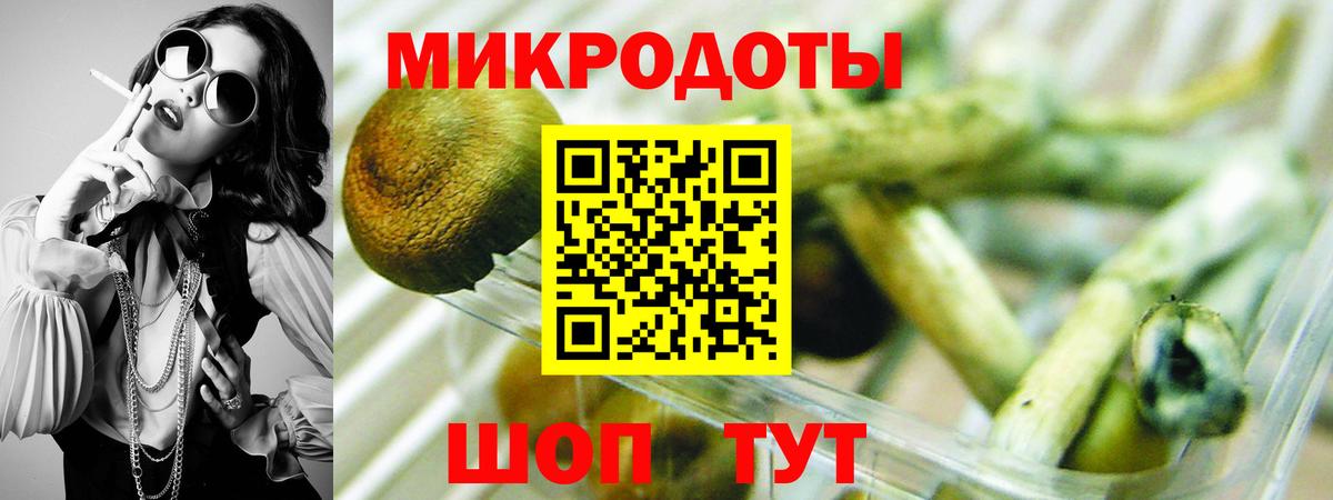 Чебаркуль  закладки  Галлюциногенные грибы Cubensis  Вход с VPN  Галлюциногенные грибы мицелий 